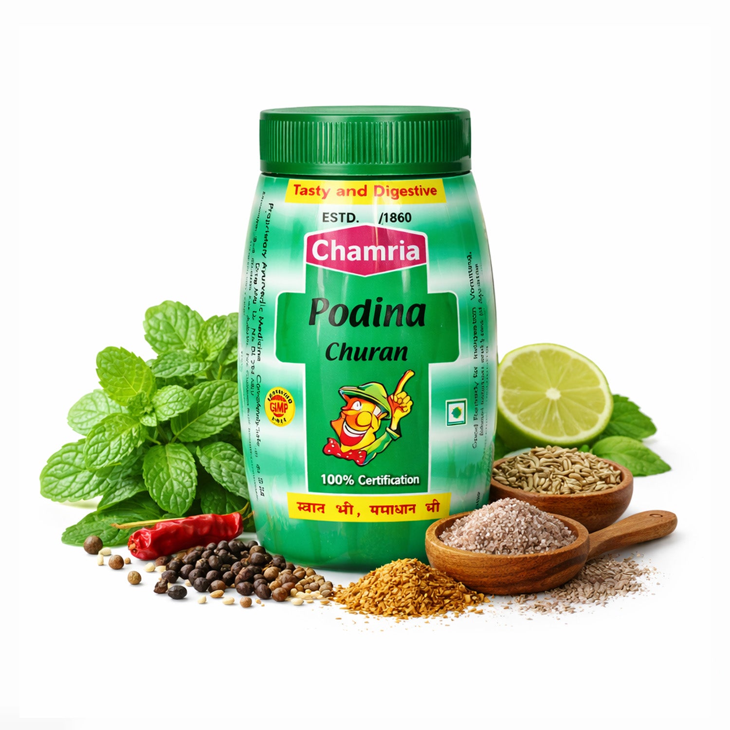 Podina Churan | Ayurvedic Mint Digestive Churan for Gas & Acidity ...